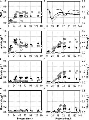 Studies on Syngas Fermentation With Clostridium carboxidivorans in Stirred-Tank Reactors With Defined Gas Impurities